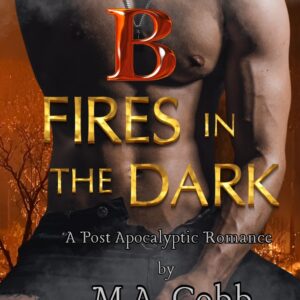 B: Fires in the Dark ebook