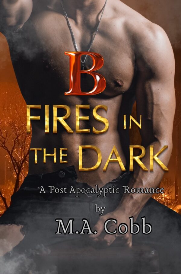 B: Fires in the Dark ebook